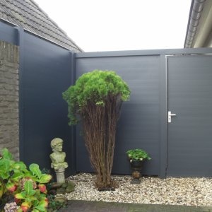 Beste hout voor tuinmeubelen